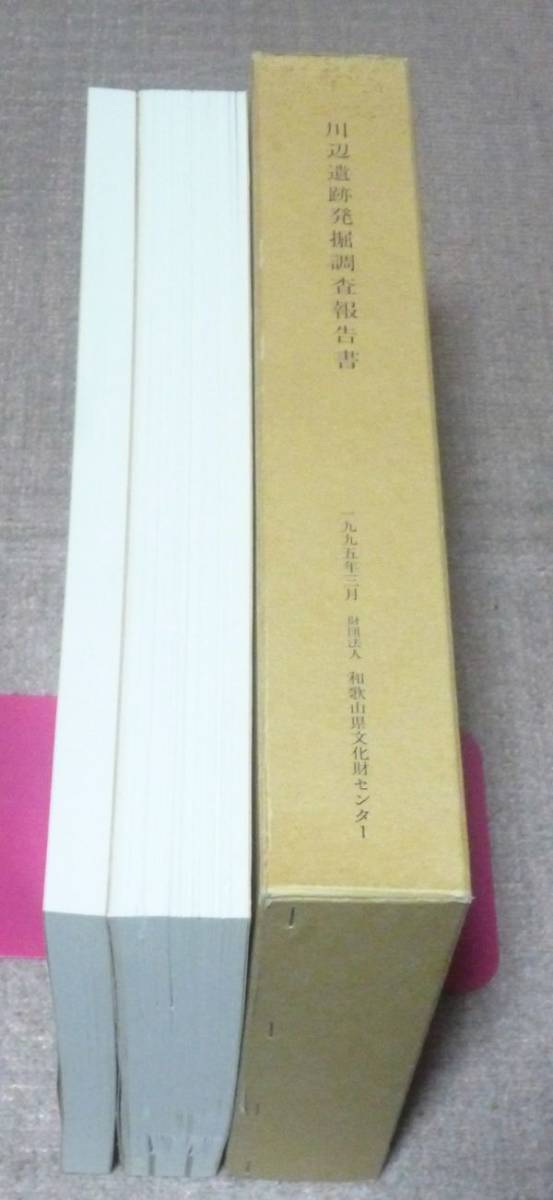 100%正規品 川辺遺跡発掘調査報告書 本文・図版 編 和歌山県文化財センター 日本史