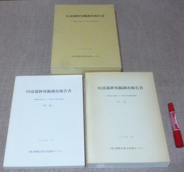 『1年保証』 川辺遺跡発掘調査報告書 編 和歌山県文化財センター 本文・図版 日本史