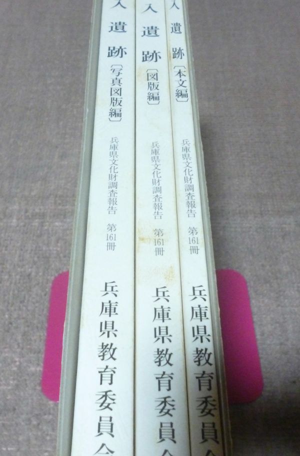 砂入遺跡 兵庫県文化財調査報告 第161冊 本文編 ・図版編・写真 砂入遺跡 兵庫県文化財調査報告 第161冊 本文編 ・図版編・写真
