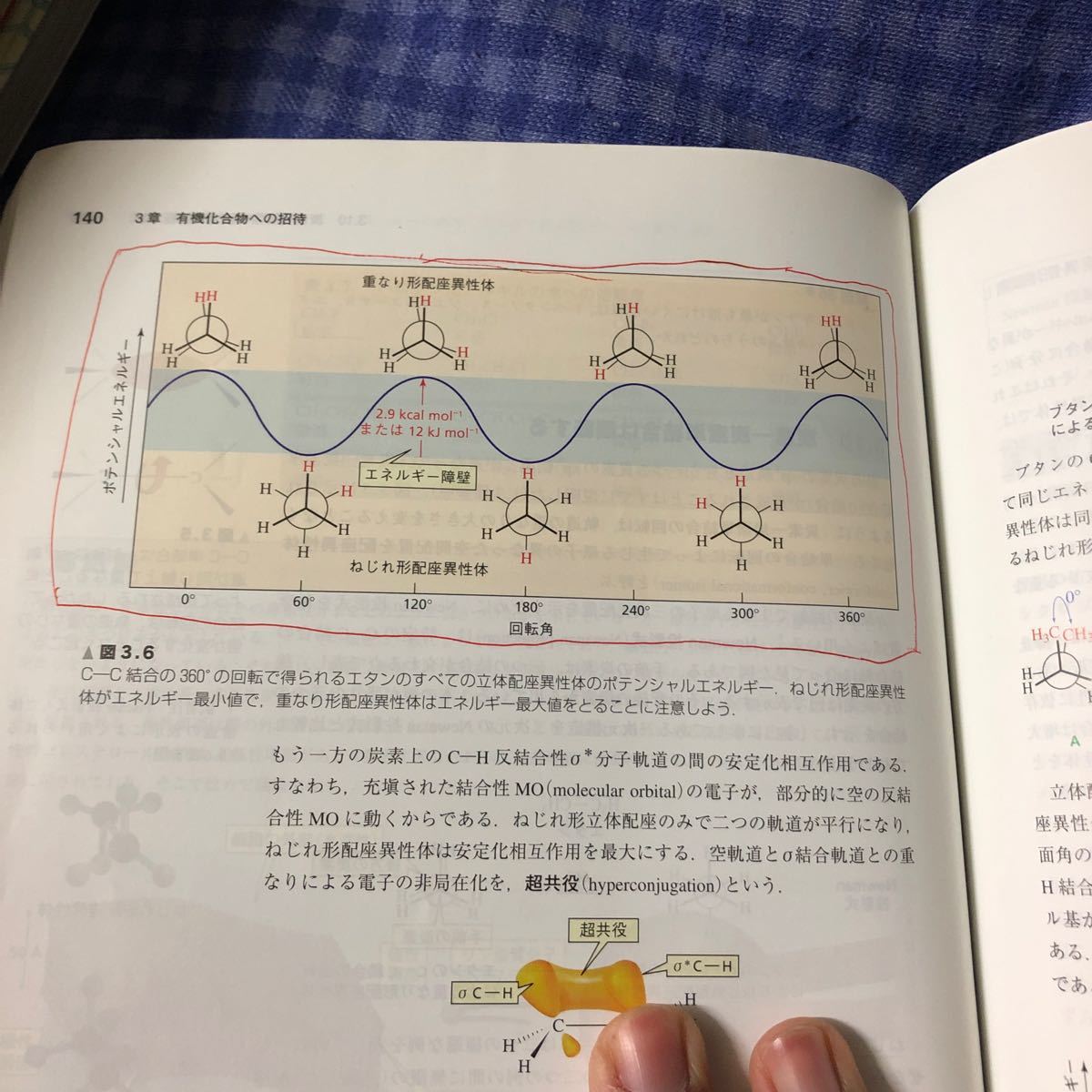 ブルース有機化学 第7版 (上) ブルースY.ポーラ (著者) 富岡清