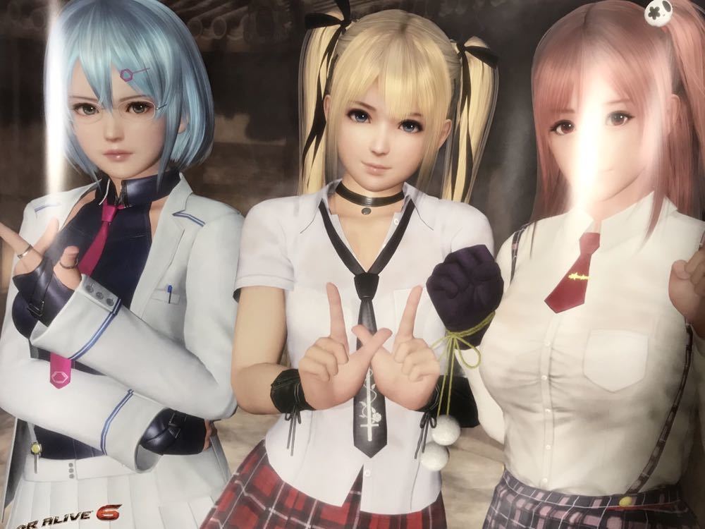 デッドオアアライブ6 /DEAD OR ALIVE 6/DOA6 格ゲー PS4 XBOX 非売品
