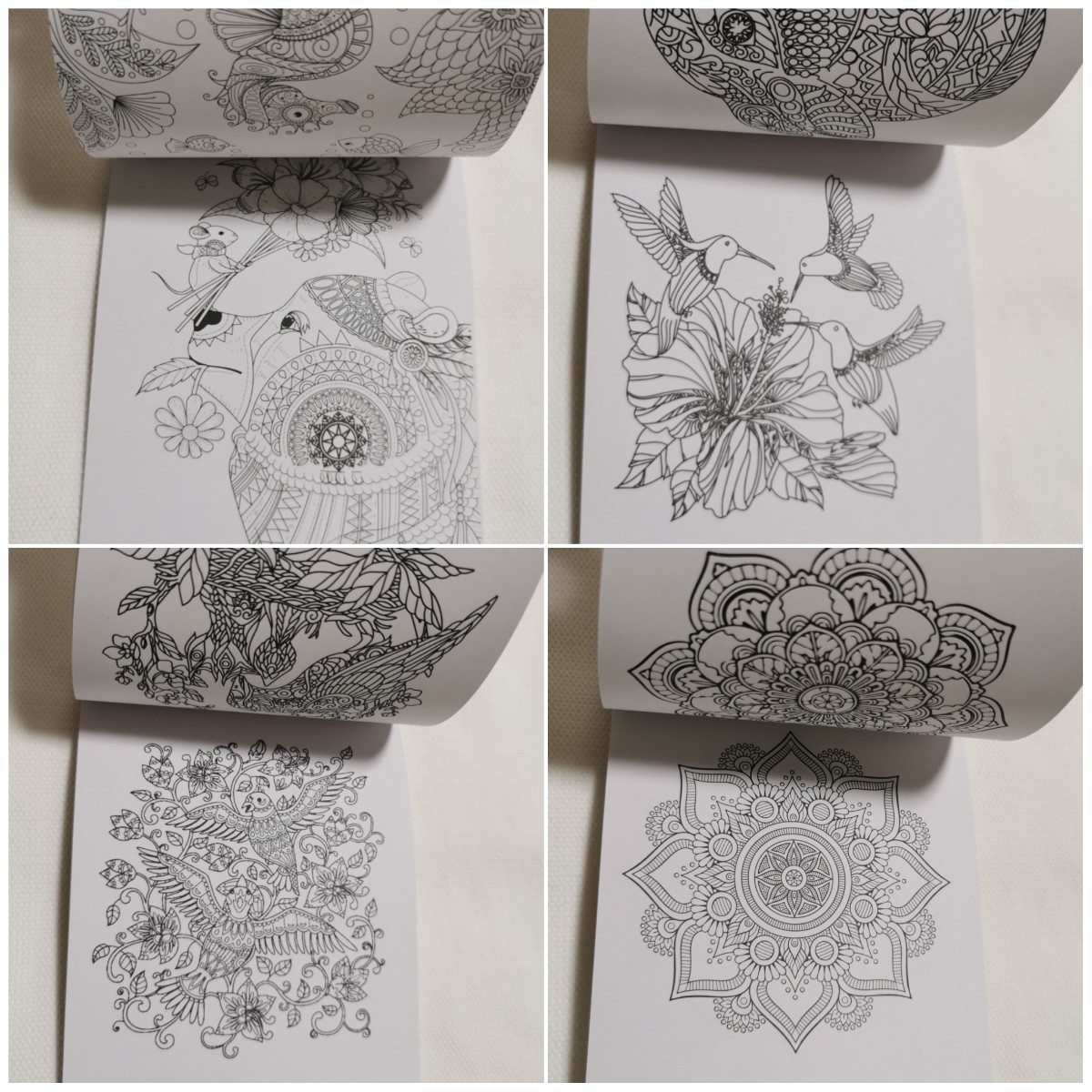 Paypayフリマ 即購入ok 水彩色鉛筆71色セット 塗り絵付き お絵かきセット 色鉛筆 Paypayフリマ 即購入ok 水彩色鉛筆71色セット 塗り絵付き お絵かきセット 色鉛筆
