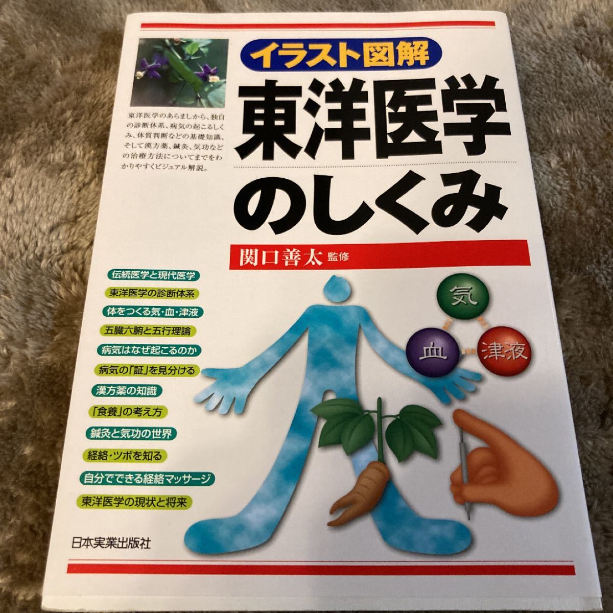 イラスト図解 東洋医学のしくみ イラスト図解／関口善太  美品