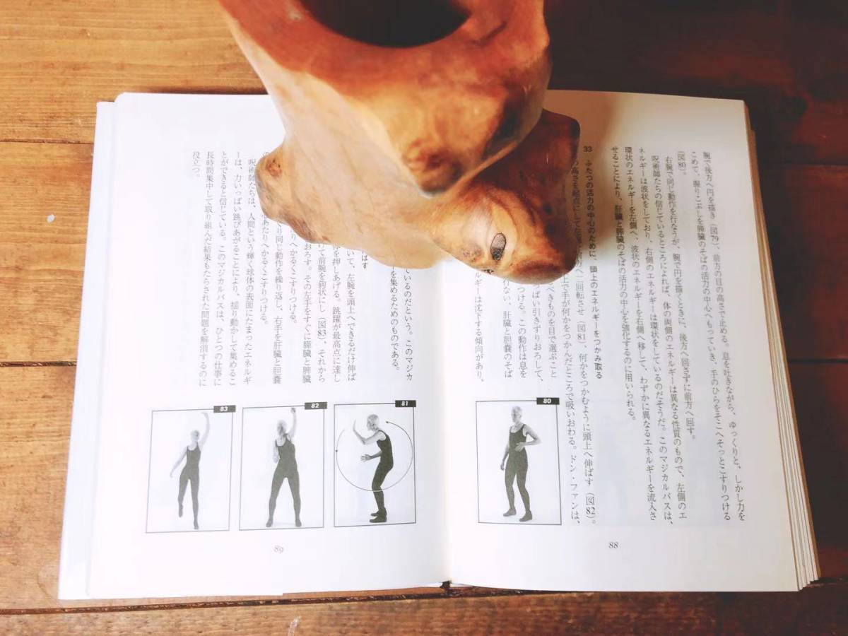 卸売 絶版!! カルロス・カスタネダ関係 全9冊 検:呪術の実践/夢見の