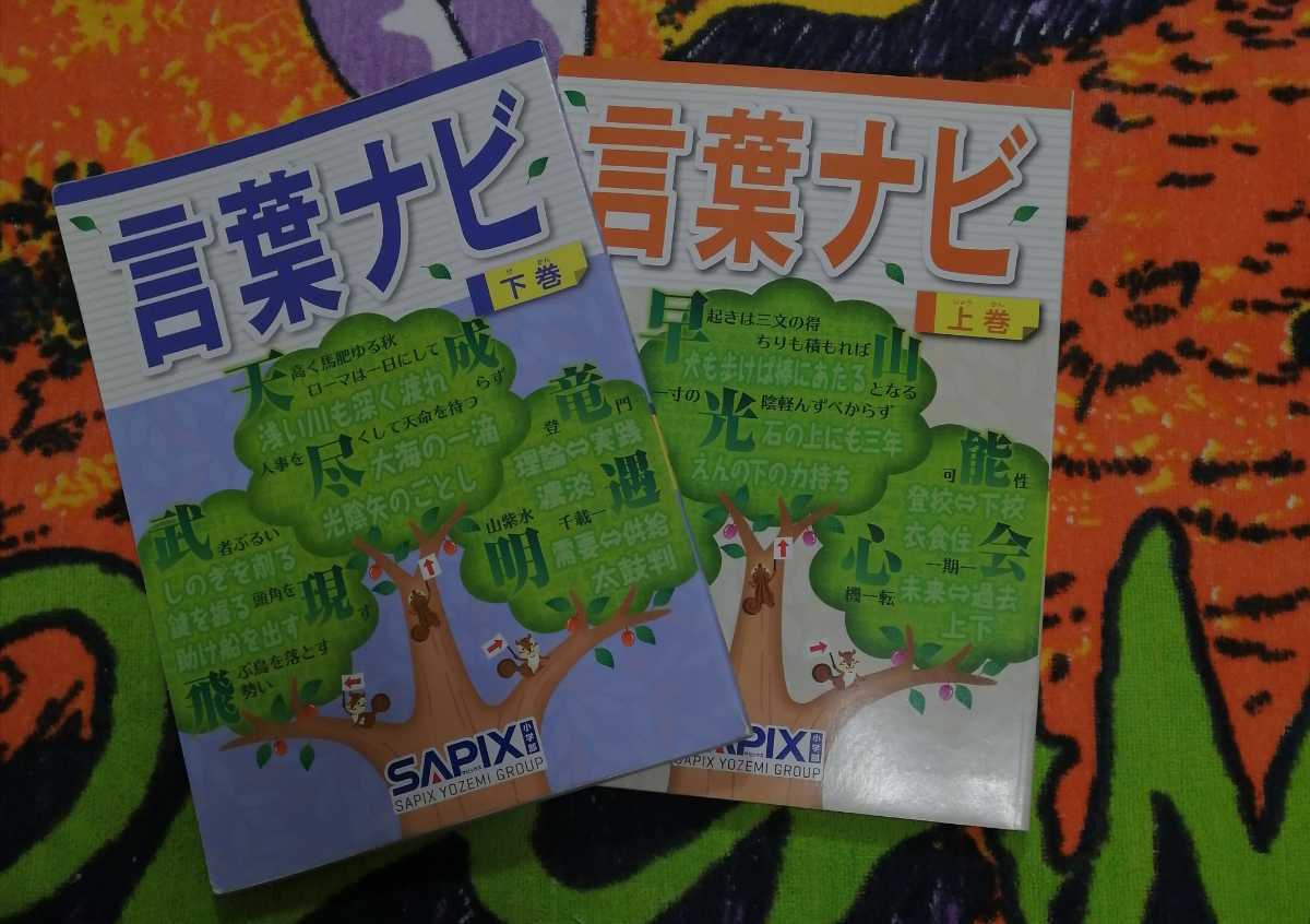 SAPIX サピックス国語小4小5小６ 言葉ナビ 上巻下巻 2冊SAPIX ナビ