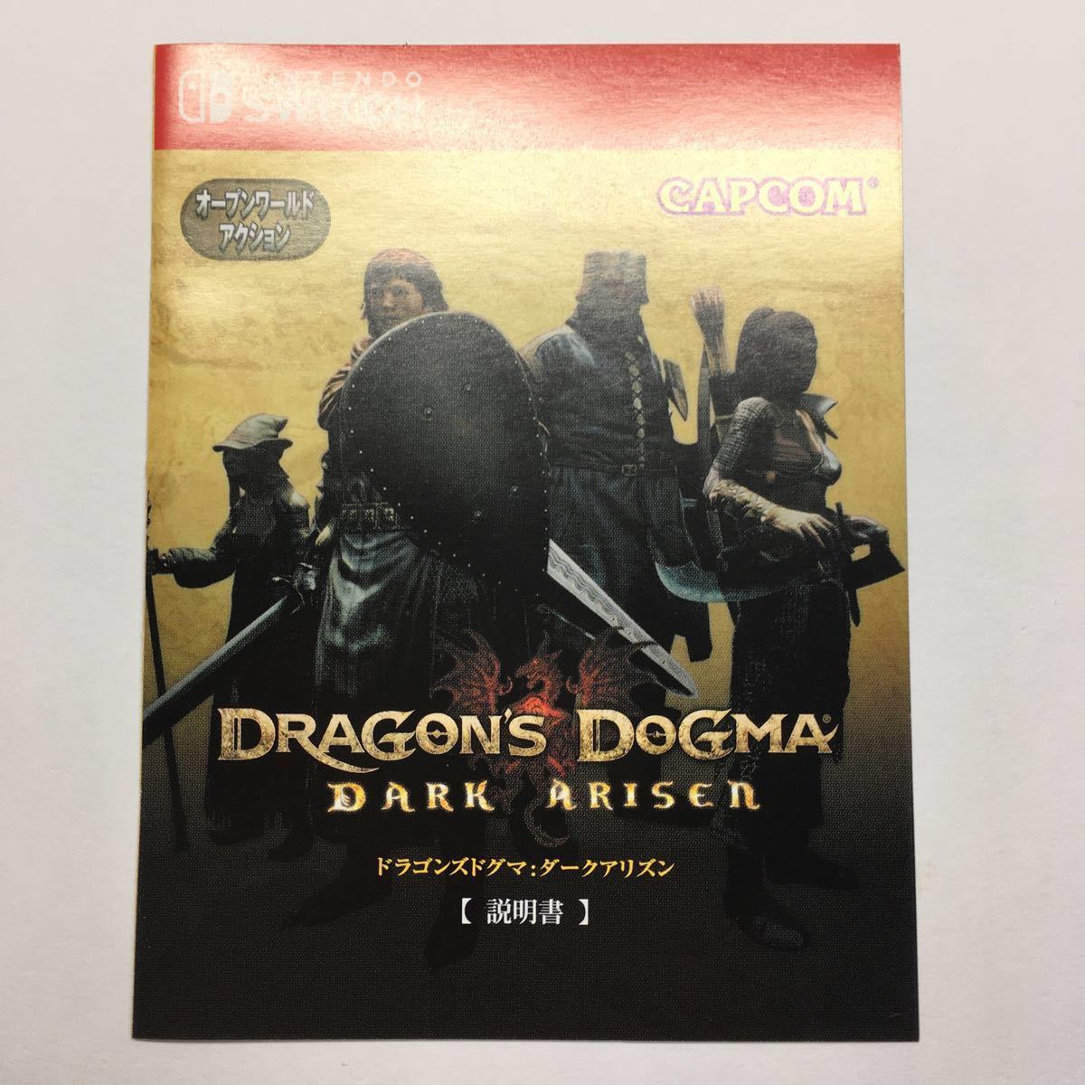 Nintendo Switch ドラゴンズドグマダークアリズン ソフト DRAGON''S DOGMA 動作確認済み　ゲーム　