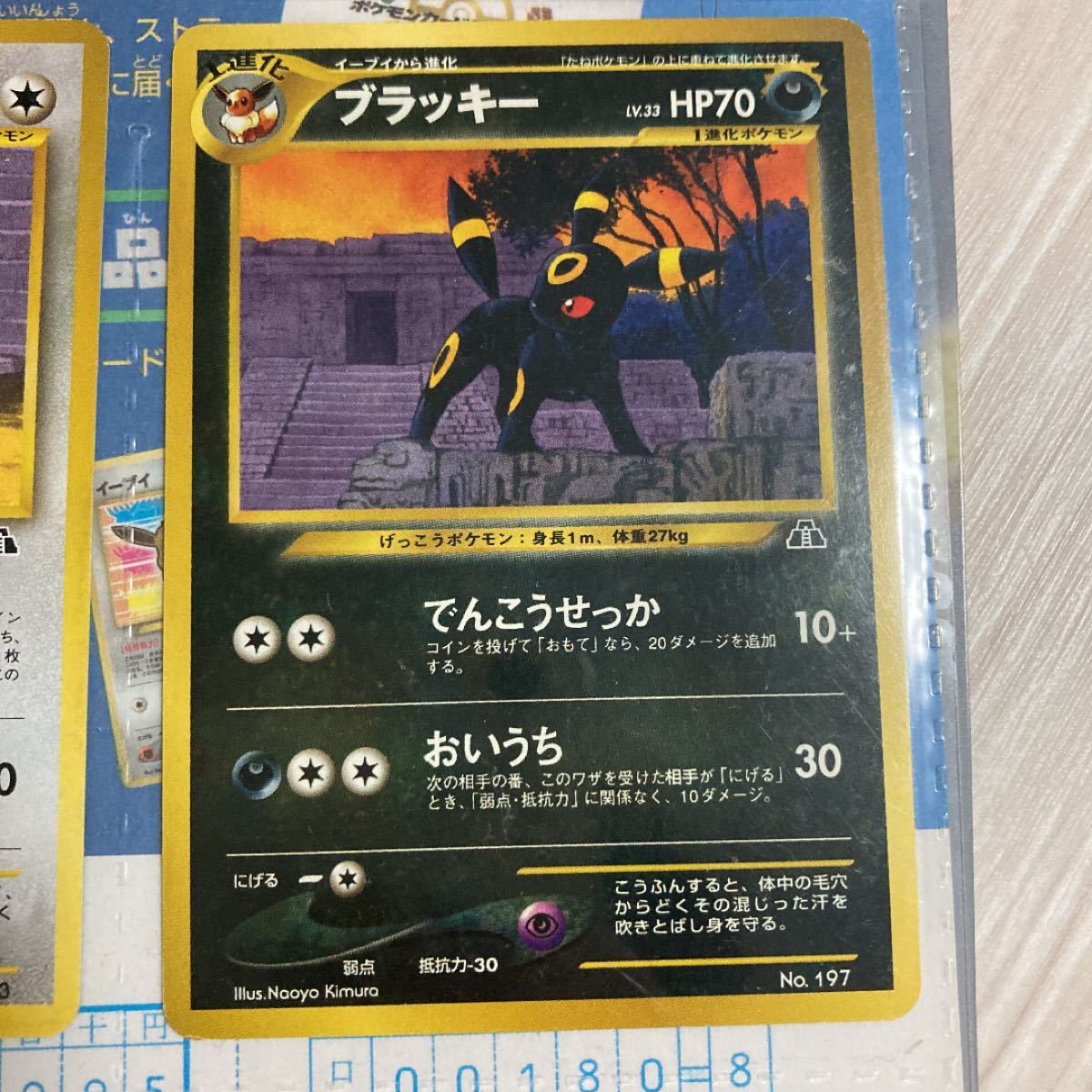 最高の ポケモンカード ネオ プレミアムファイル2 ポケモンカードゲーム トレーディングカード Www Comisariatolosandes Com 最高の ポケモンカード ネオ プレミアムファイル2 ポケモンカードゲーム トレーディングカード Www Comisariatolosandes Com
