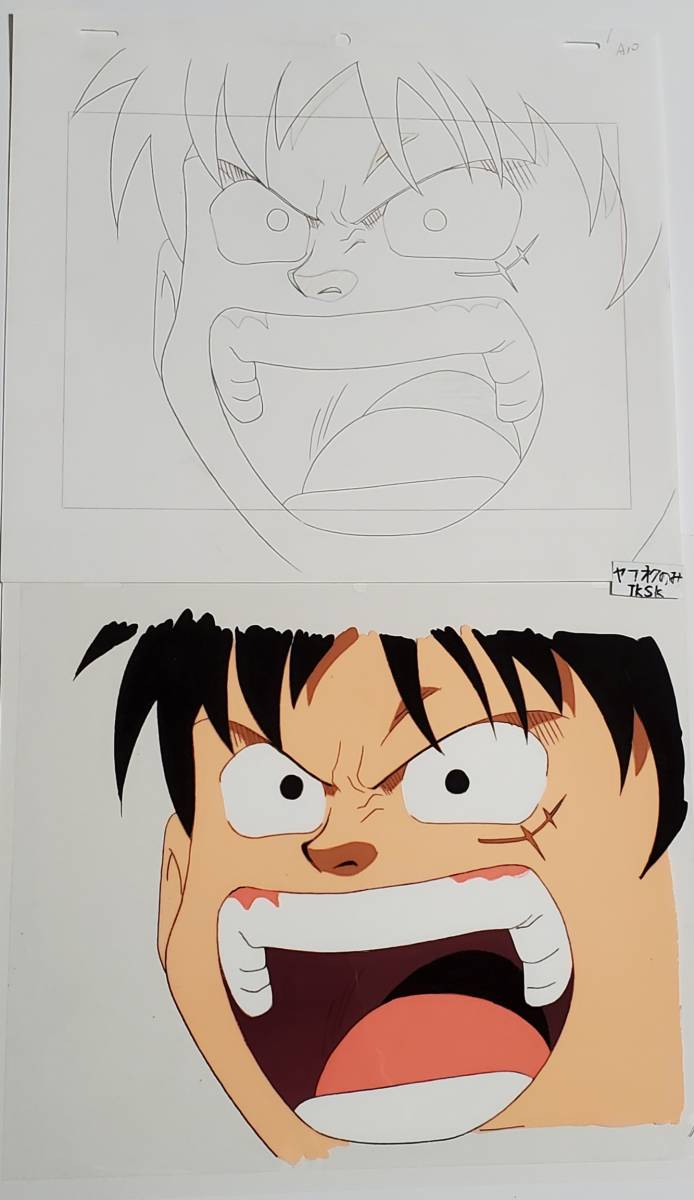 One Piece Monkey D. Luffy Cell Picture and Video Eiichiro Oda