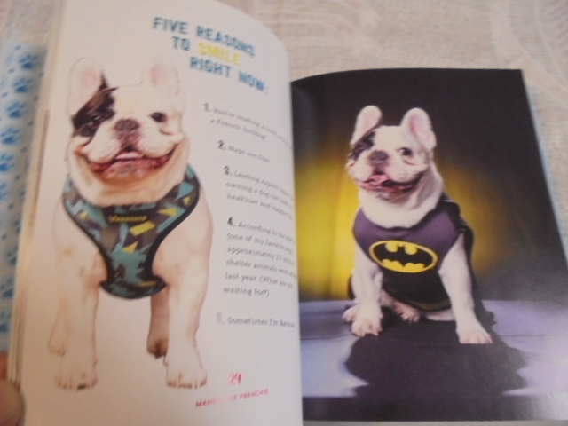 洋書とっても可愛いフレンチドッグ写真集　Manny the Frenchie's Art of Happiness