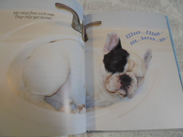 洋書とっても可愛いフレンチドッグ写真集　Manny the Frenchie's Art of Happiness