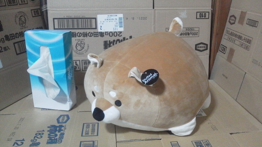 Stuffed Animal soft toy . dog Brown mochi mochi 30×34×20cm postage 510 jpy 