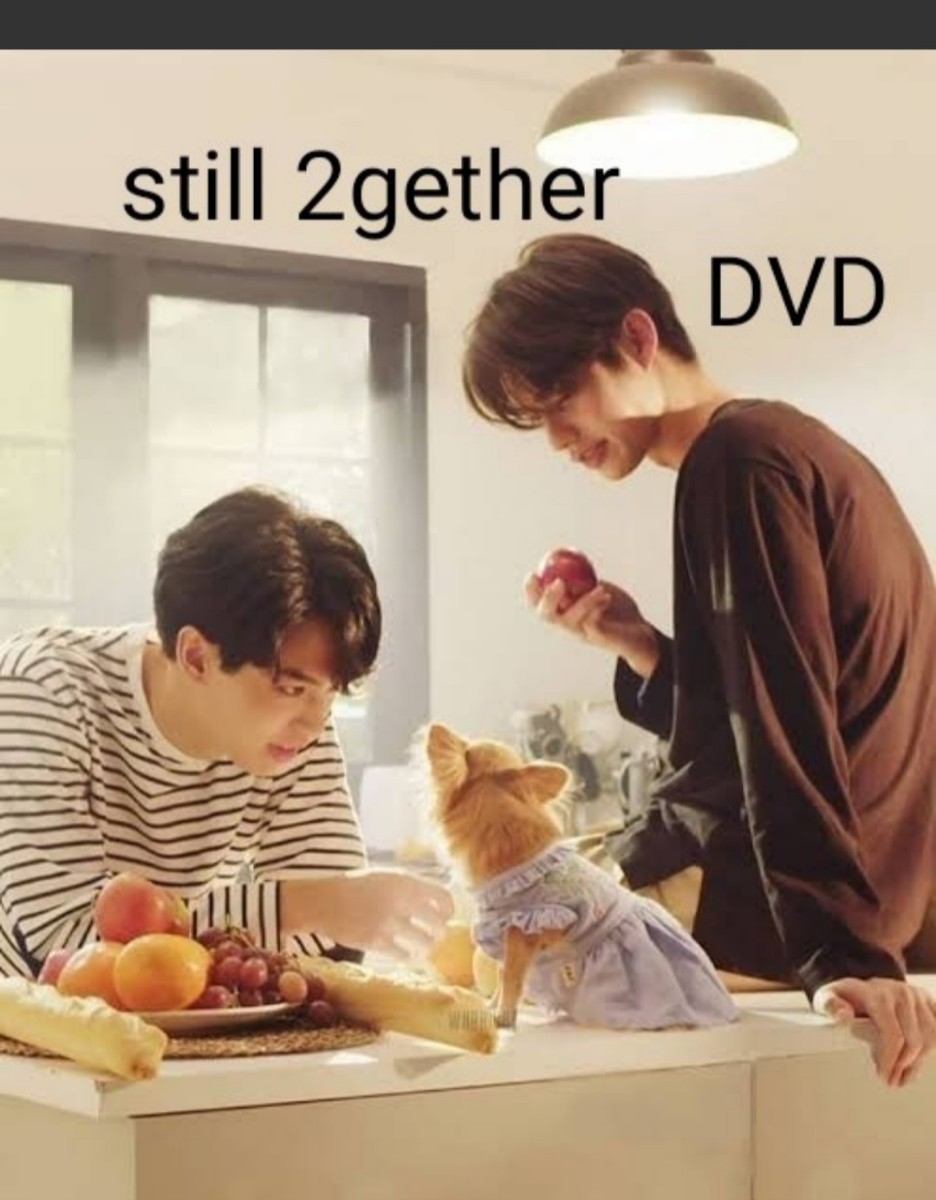 Still 2gether　 DVD　全話　BL　　　