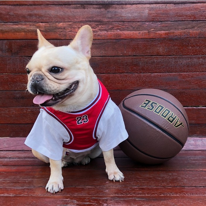Paypayフリマ 4pets 犬服 バスケタンク Tシャツ 洋服 ドッグウェア Xxxlサイズ Paypayフリマ 4pets 犬服 バスケタンク Tシャツ 洋服 ドッグウェア Xxxlサイズ