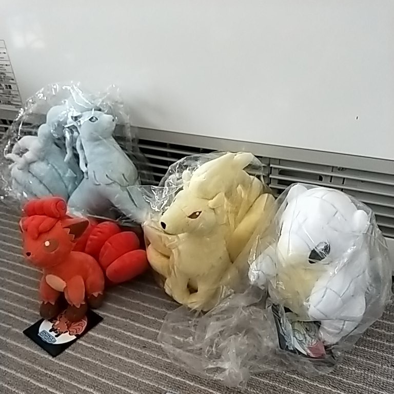 Paypayフリマ 6点 ポケモン アローラロコン ロコン キュウコン アローラキュウコン アローラサンド ポケモンセンター バスタオル キーホルダー Paypayフリマ 6点 ポケモン アローラロコン ロコン キュウコン アローラキュウコン アローラサンド ポケモンセンター バスタオル キーホルダー