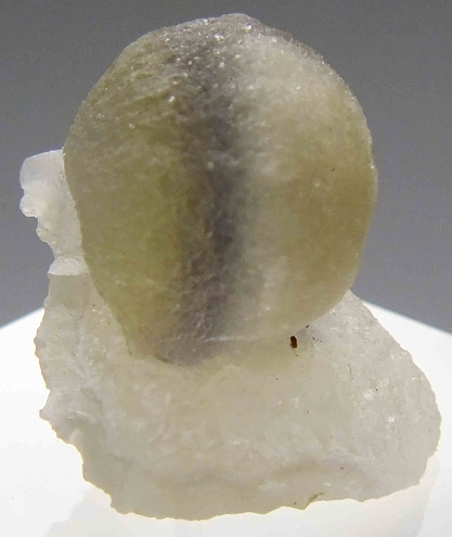 No.42 フローライト 蛍石 7点セット ケース付き | bioimune.com.br
