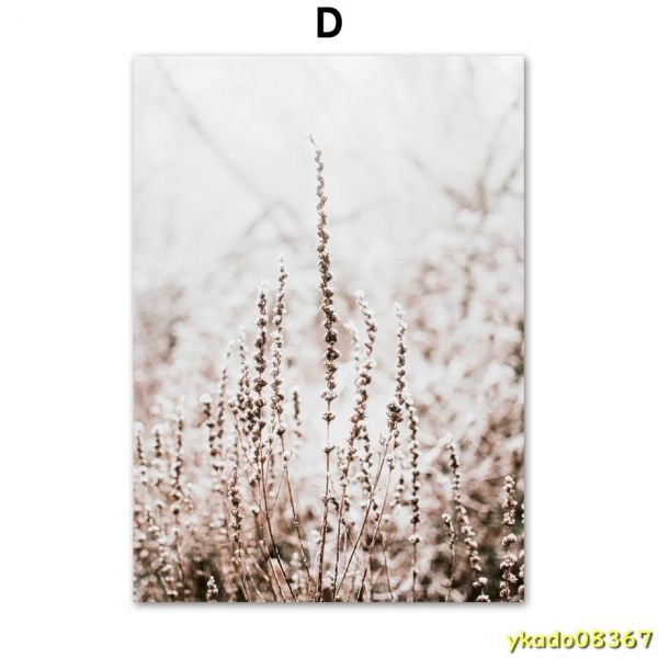 P1020: 冬の花 タンポポ 植物 風景 壁アート キャンバス絵画 北欧 ポスタープリント リビングルーム 写真_D