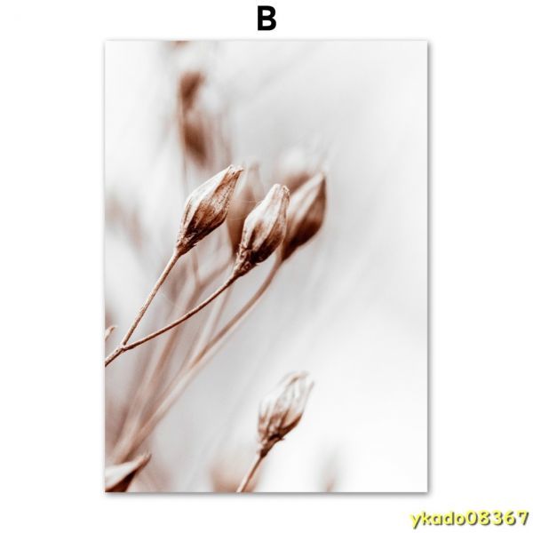 P1020: 冬の花 タンポポ 植物 風景 壁アート キャンバス絵画 北欧 ポスタープリント リビングルーム 写真_B