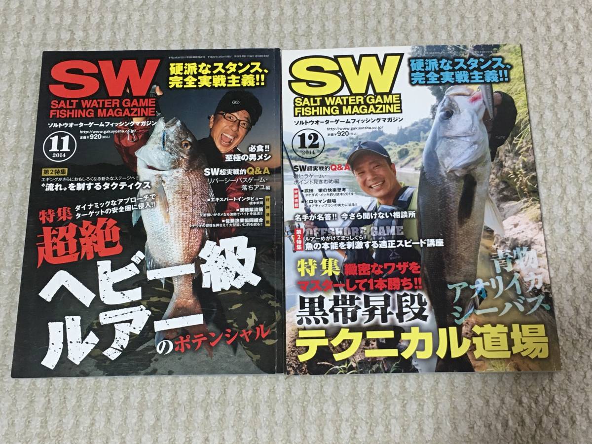 月刊　ソルトウォーターゲームフィッシングマガジン　SW　2014年　1～12月号　12冊セット　中古品　岳洋社_画像8