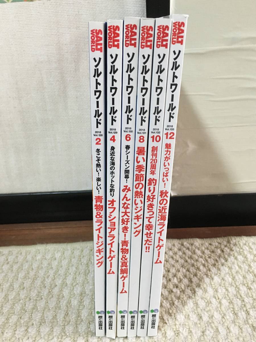 枻出版社　ソルトワールド　2018年　6冊セット　中古品　隔月刊誌　Vol.128、129、130、131、132、133_画像9