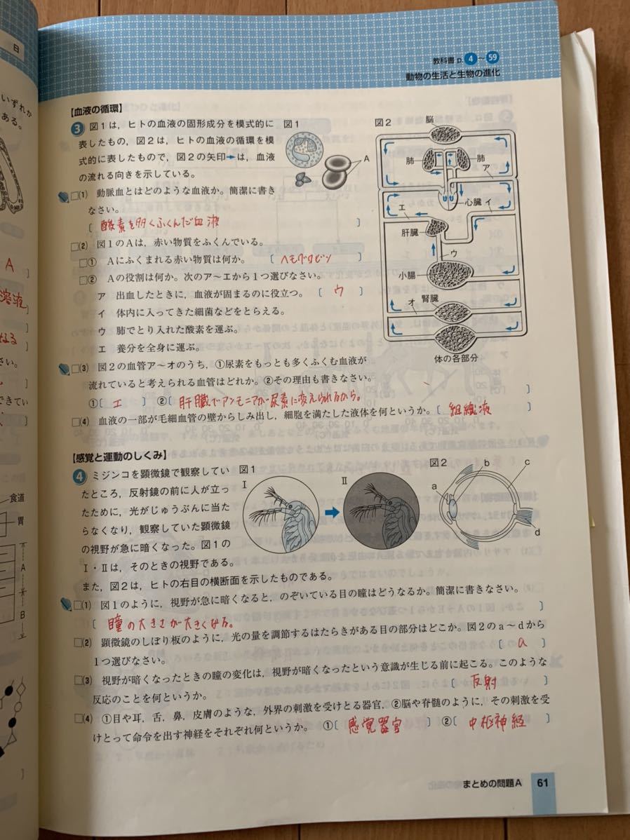 ★ iワーク理科　 中2 　啓林　未来へひろがるサイエンス