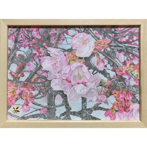 色鉛筆画「 桜、咲く」Ａ４・額付き◇◆手描き◇原画◆花◇◆yotto◇_画像2