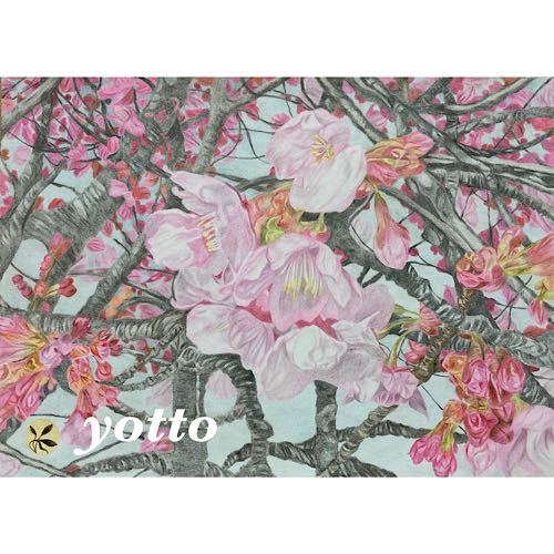色鉛筆画「 桜、咲く」Ａ４・額付き◇◆手描き◇原画◆花◇◆yotto◇