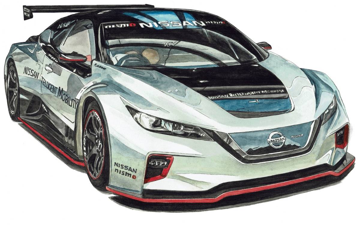 leaf nismo RC