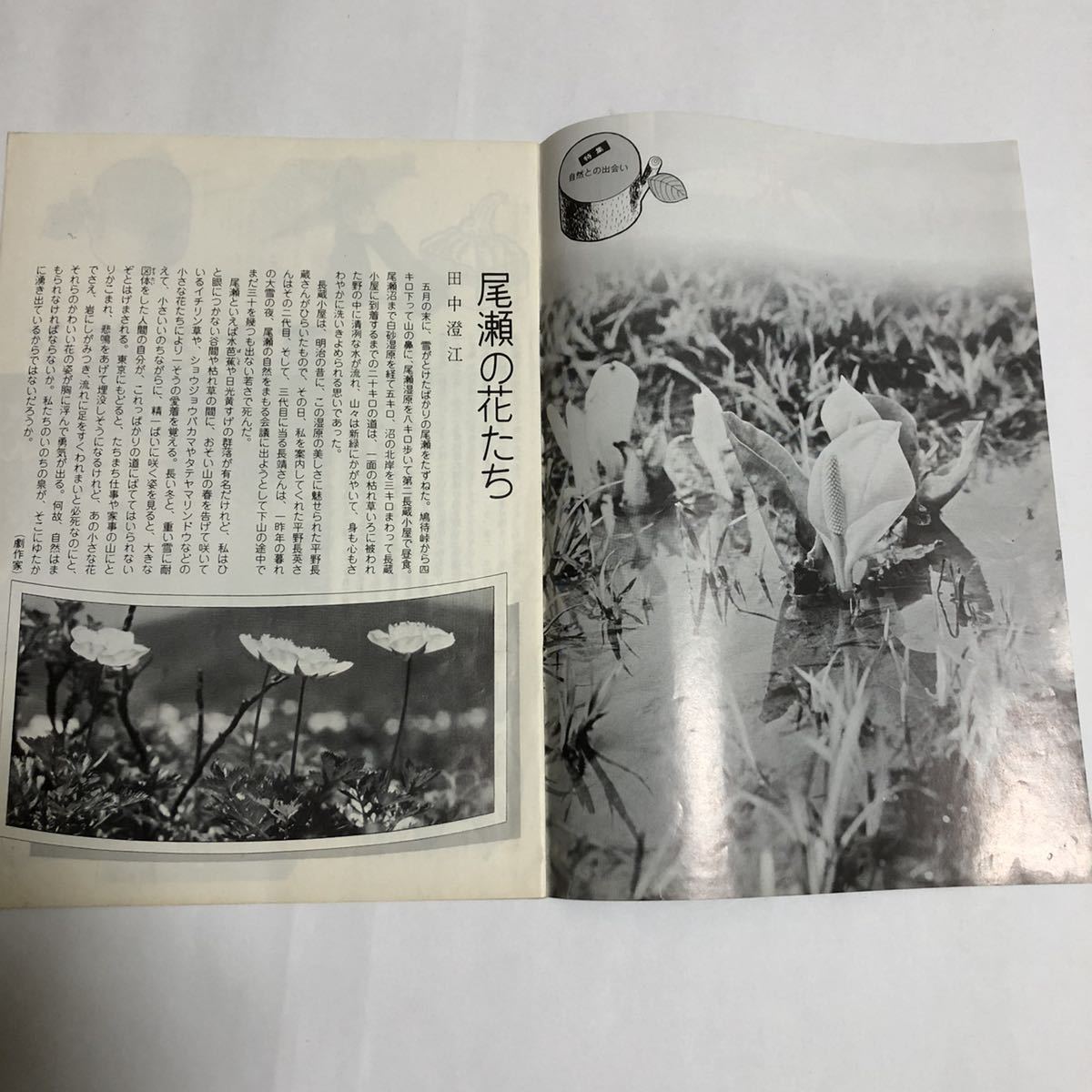 即決 雑誌 くらしの泉 1973年8月 宝塚歌劇団 邦月美岐 鳳城ひろき 中古 生活情報誌 昭和レトロ 松下電気 ナショナル 家電 歴史 資料 広告_画像3