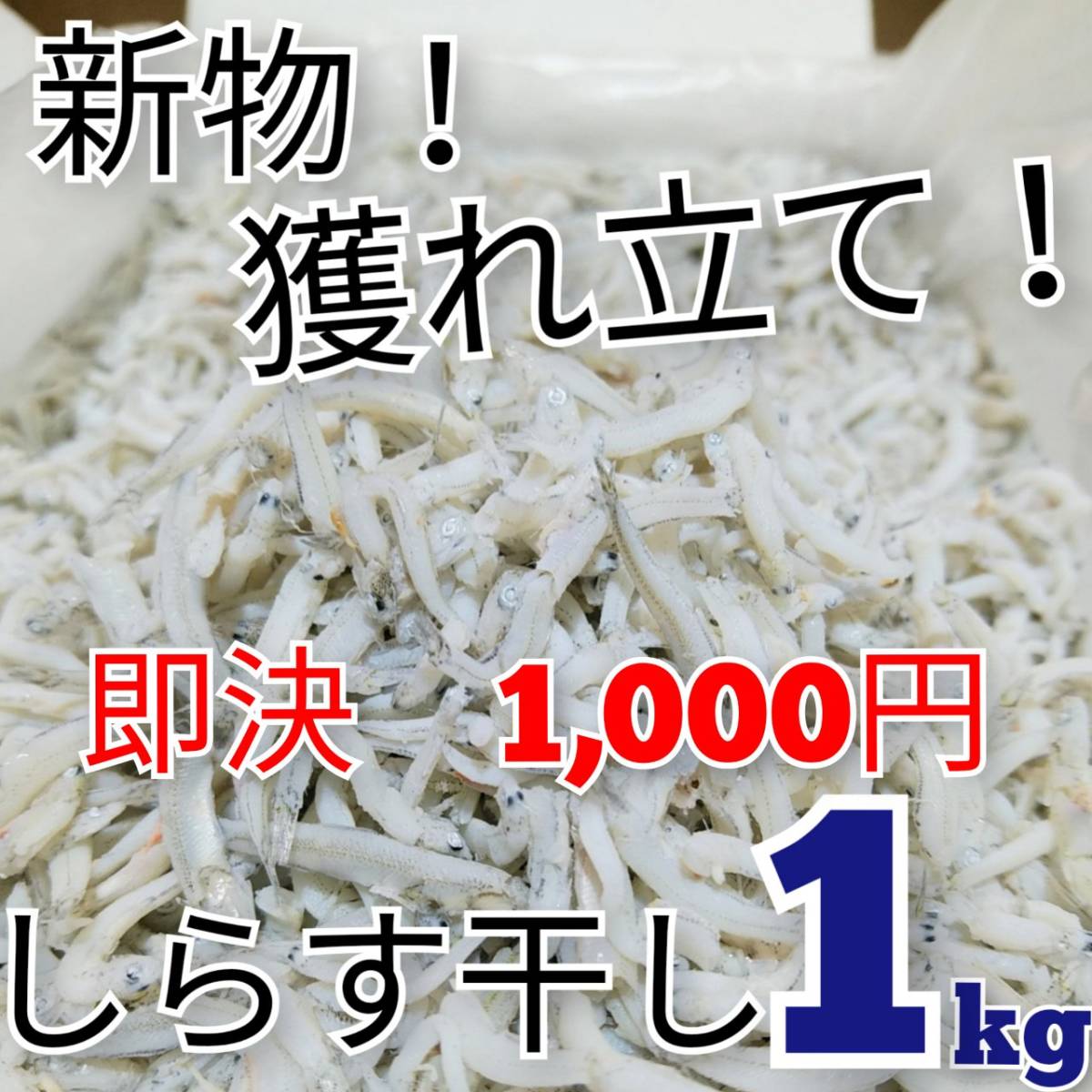 釜揚げしらす 缶詰 アマゾン 釜揚げしらす 缶詰 アマゾン