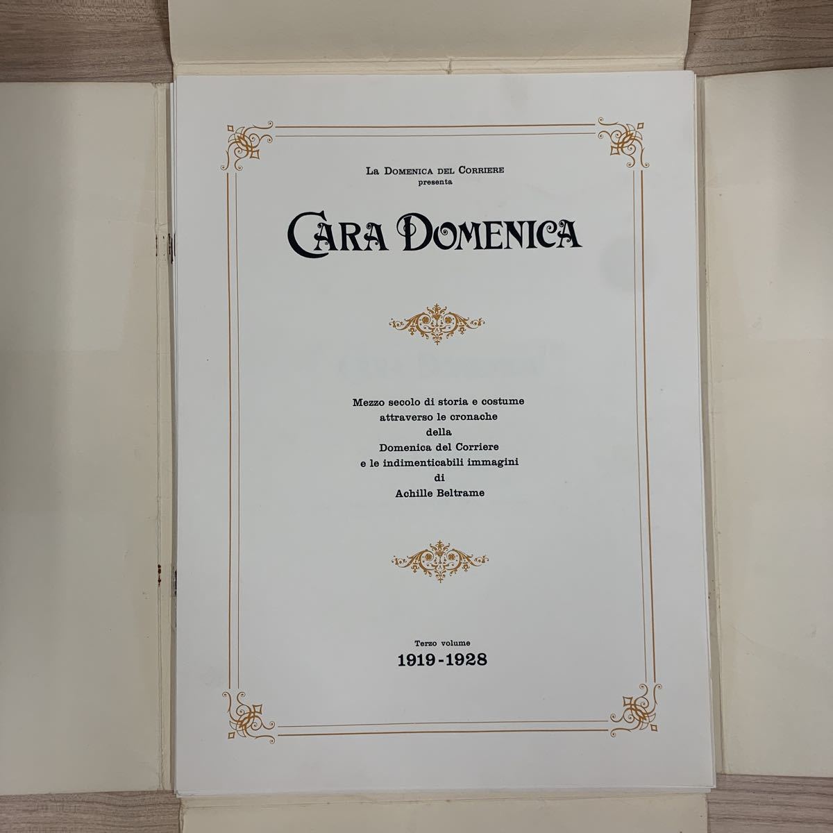 4-25-41 иностранная книга /CARA DOMENICA 1919-1928/ Италия / milano / Classic / Vintage / античный / переиздание /