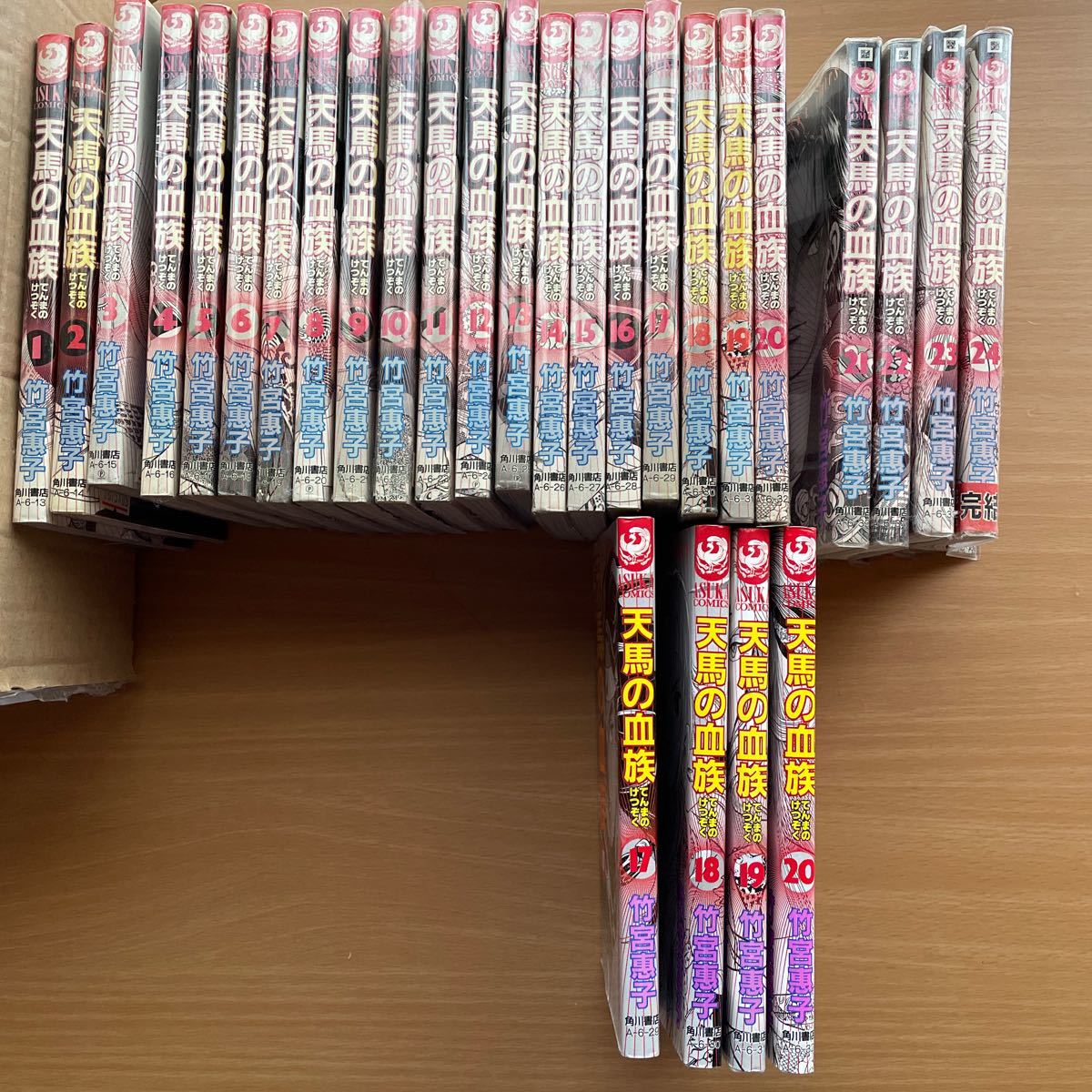 コミック　天馬の血族　竹宮惠子著　全24巻　角川書店　うっかり重複4巻分（17~20巻）のおまけ付き