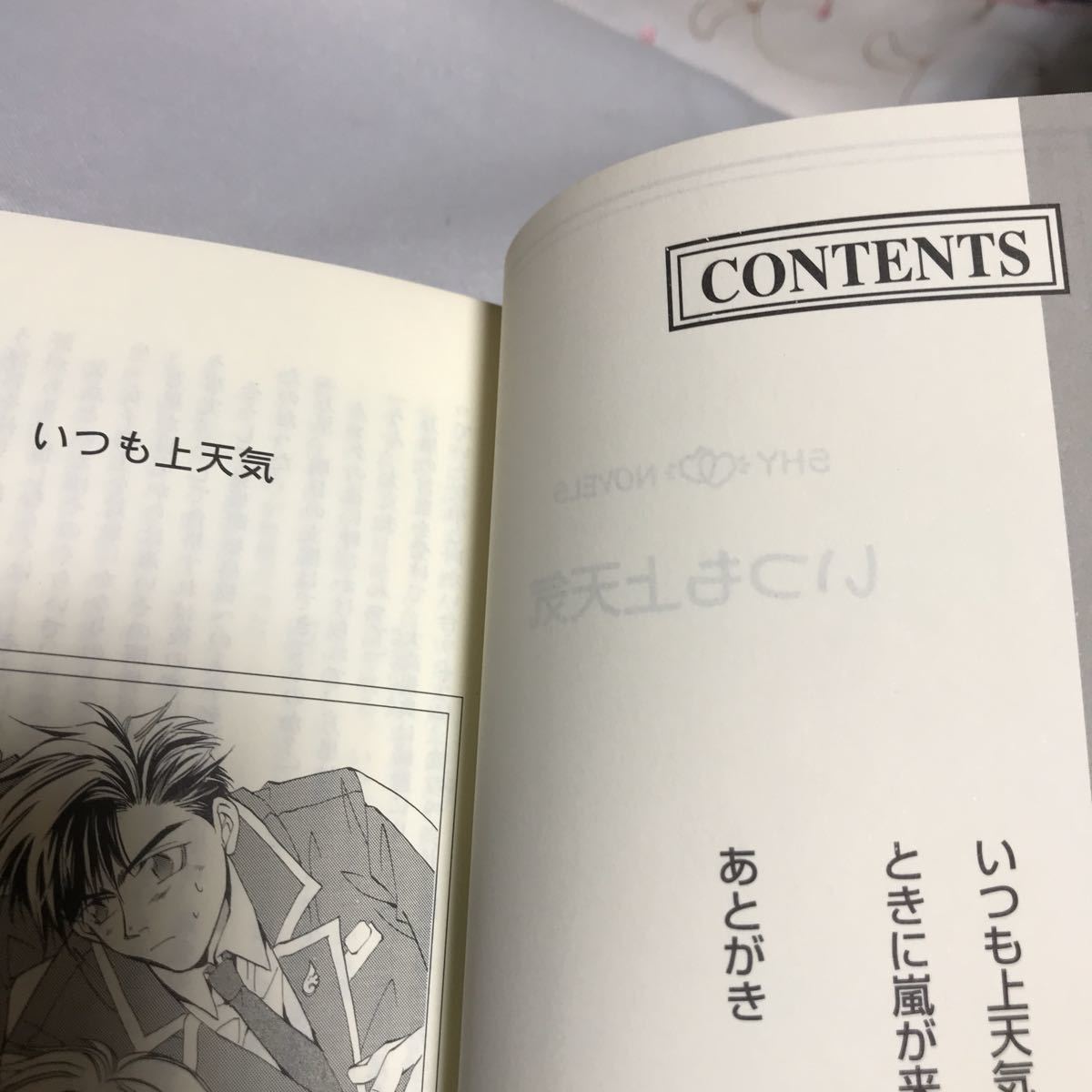 いつも上天気 渡海奈穂 松平徹日本代购 买对网 いつも上天気 渡海奈穂 松平徹日本代购 买对网