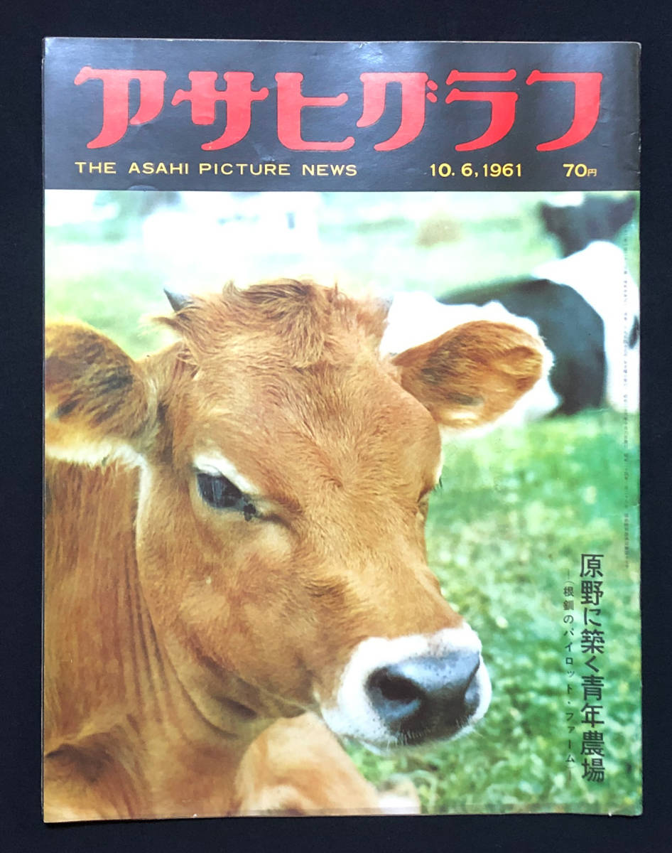 ●昭和グラフ誌●『アサヒグラフ』1冊 1961年10月6日号 高度経済成長 投の権藤打の長島 横綱への道 文化住宅のハズだったが 広告多数●古書_画像1