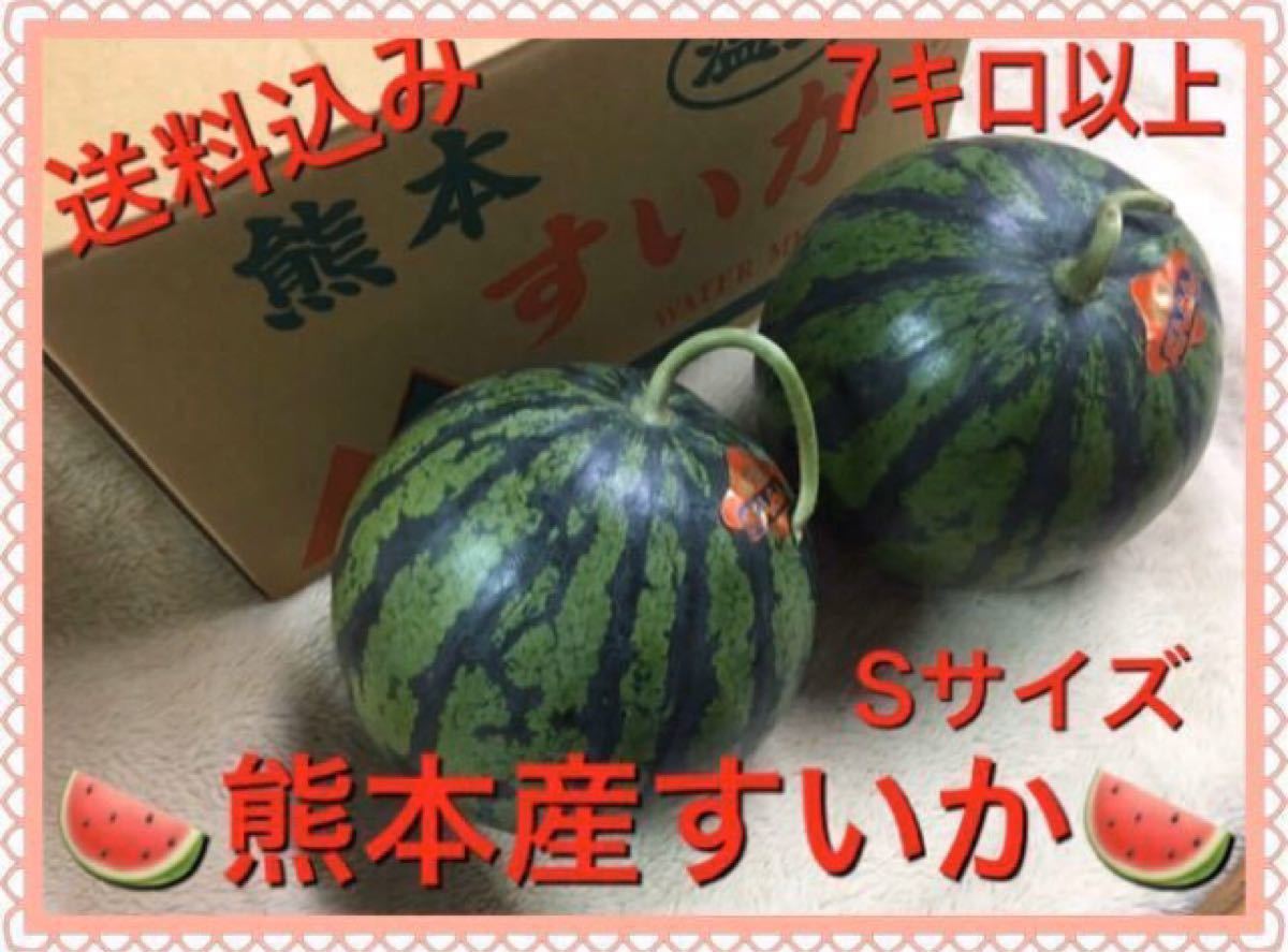 産地直送1番成り!熊本産西瓜 2玉入りＳサイズ合計7キロ以上訳あり送料込み！！