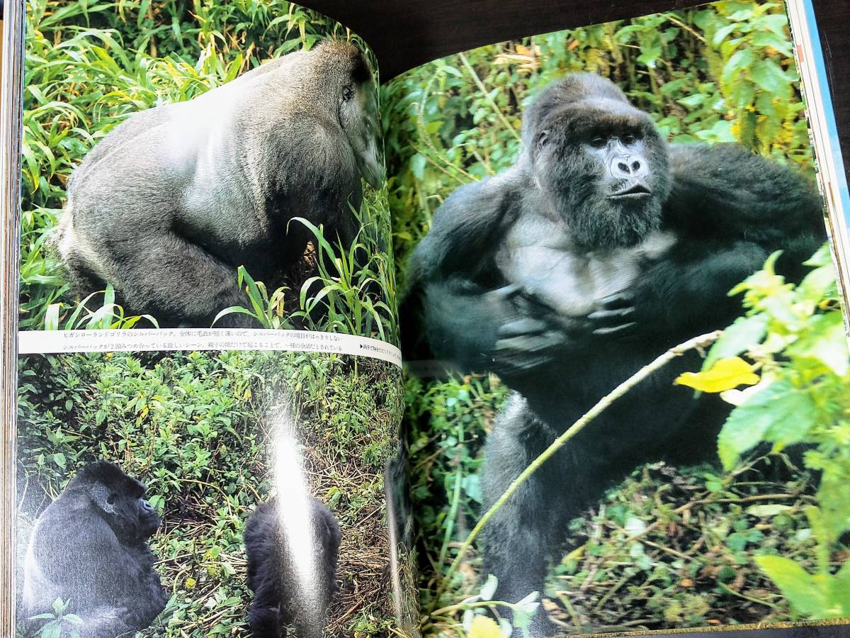 世界の天然記念物 国際保護動物 全9巻セット 動物図鑑 絶滅危惧 世界の天然記念物 国際保護動物 全9巻セット 動物図鑑 絶滅危惧