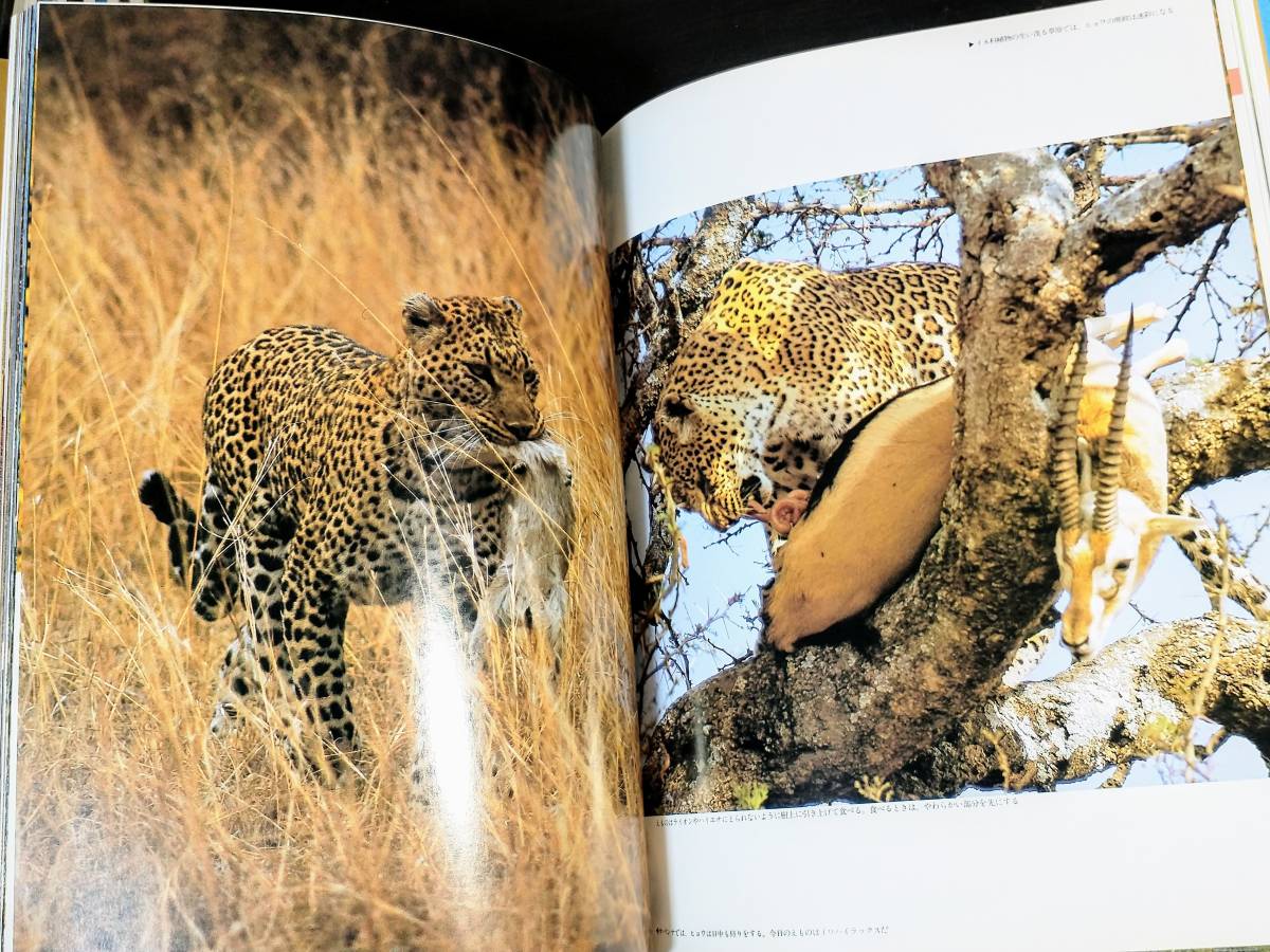 世界の天然記念物 国際保護動物 全9巻セット 動物図鑑 絶滅危惧 世界の天然記念物 国際保護動物 全9巻セット 動物図鑑 絶滅危惧