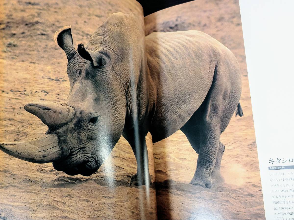 世界の天然記念物 国際保護動物 全9巻セット 動物図鑑 絶滅危惧 世界の天然記念物 国際保護動物 全9巻セット 動物図鑑 絶滅危惧