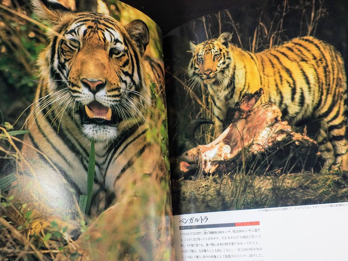 世界の天然記念物 国際保護動物 全9巻セット 動物図鑑 絶滅危惧 世界の天然記念物 国際保護動物 全9巻セット 動物図鑑 絶滅危惧
