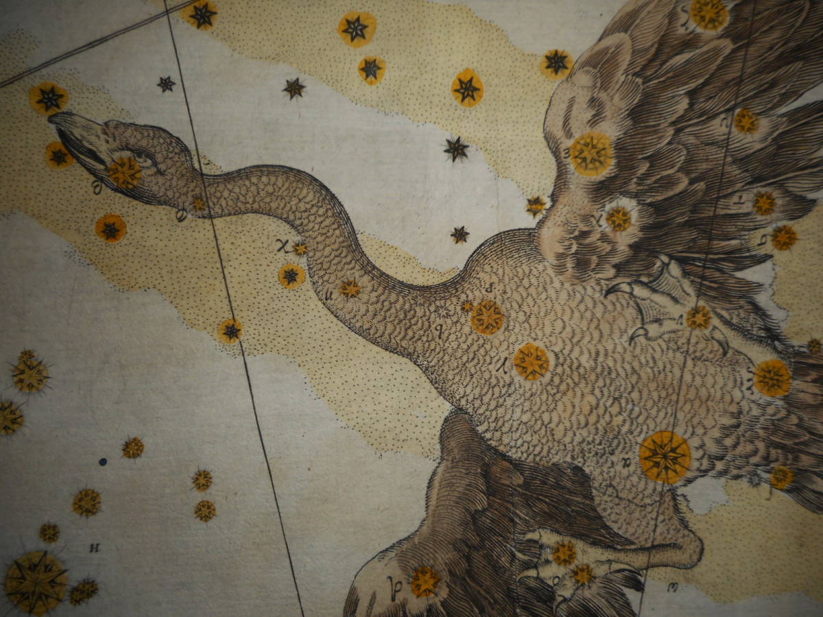 アンティーク、天文、天体、星座早見盤、手彩色銅版画、1723年 アンティーク、天文、天体、星座早見盤、手彩色銅版画、1723年