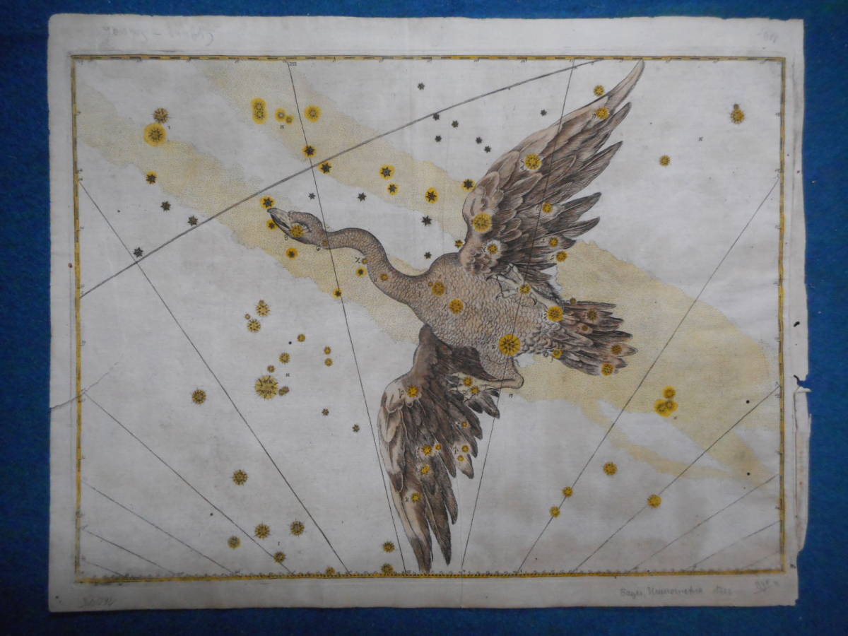 アンティーク、天文、天体、星座早見盤、手彩色銅版画、1723年 アンティーク、天文、天体、星座早見盤、手彩色銅版画、1723年
