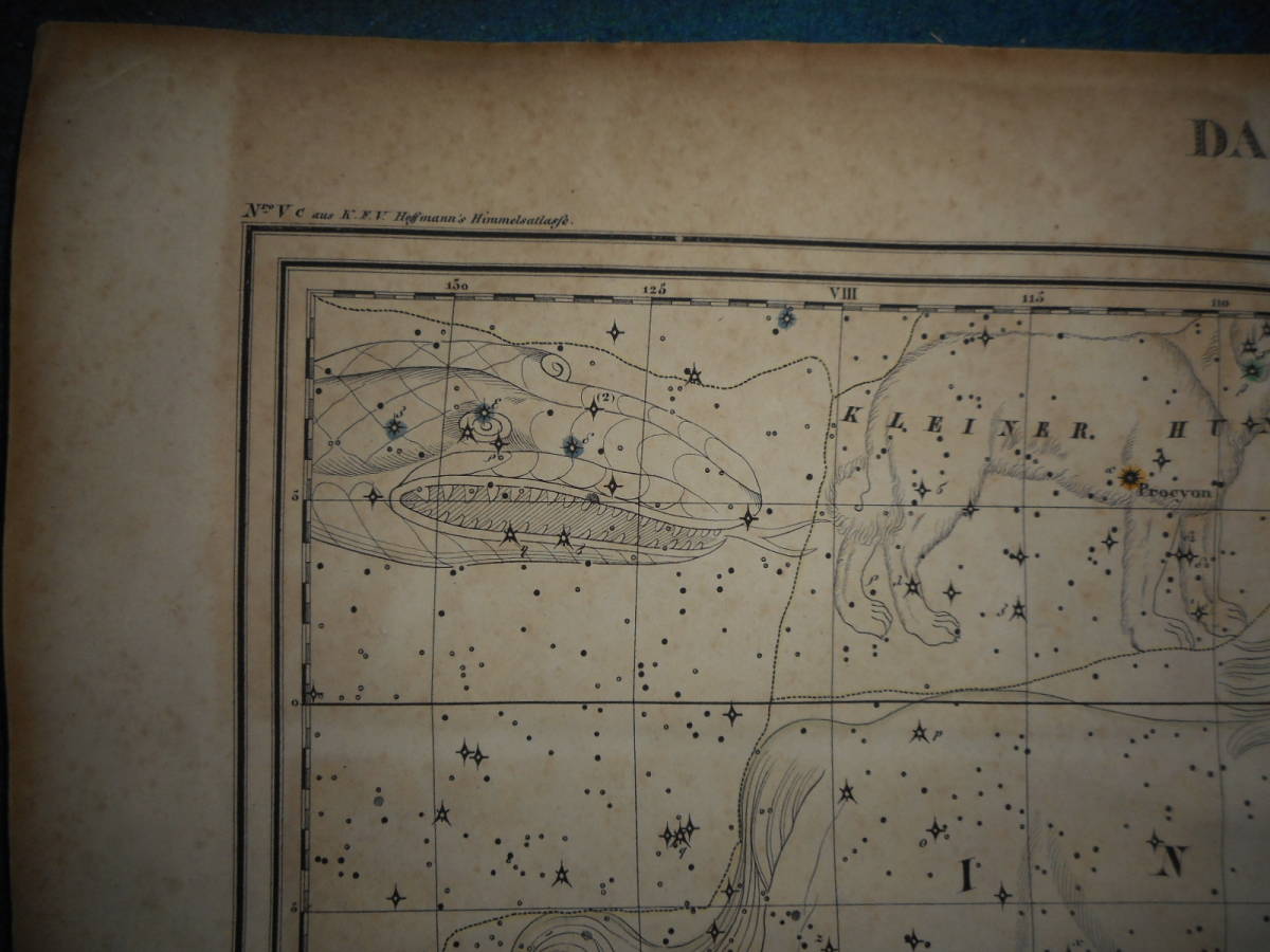 アンティーク、天文、星座早見盤、手彩色石版画、1835年『ホッフマン星図おおいぬ座一角獣座他』Star map, Planisphere, Celestial atlas