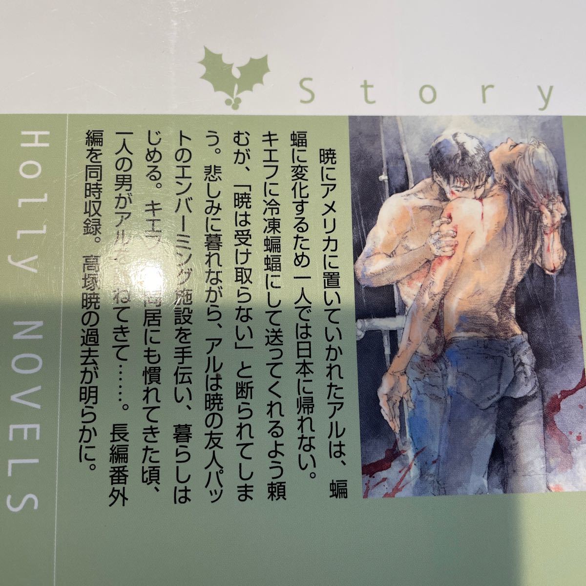 Paypayフリマ 吸血鬼と愉快な仲間たち holly novels 木原音瀬 著 Paypayフリマ 吸血鬼と愉快な仲間たち holly novels 木原音瀬 著