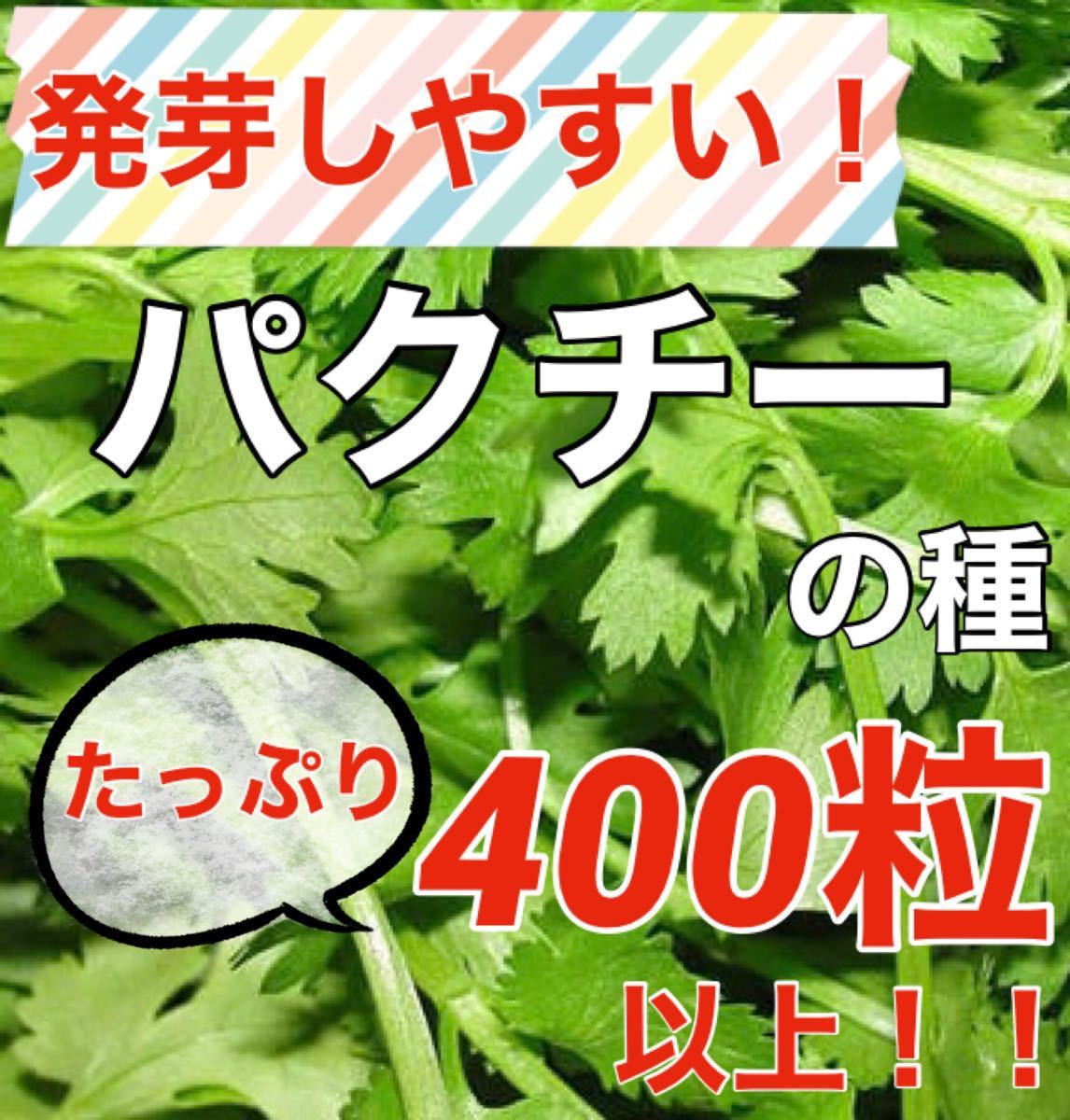 Paypayフリマ 大人気 コリアンダー パクチー の種 約400粒 ハーブ 野菜 タネ Paypayフリマ 大人気 コリアンダー パクチー の種 約400粒 ハーブ 野菜 タネ