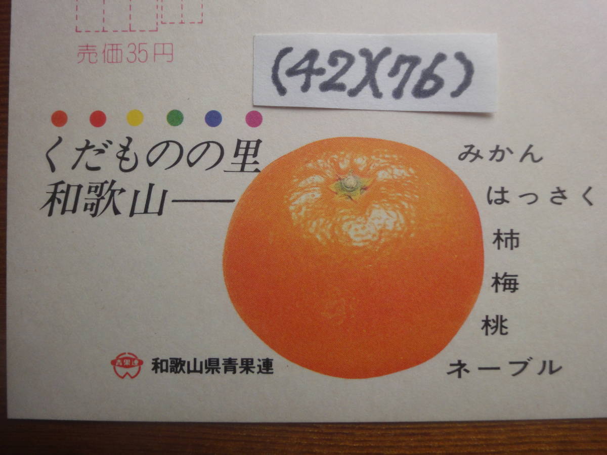 (42)(76) エコーはがき４０円・和歌山県青果連　未使用美品_画像2