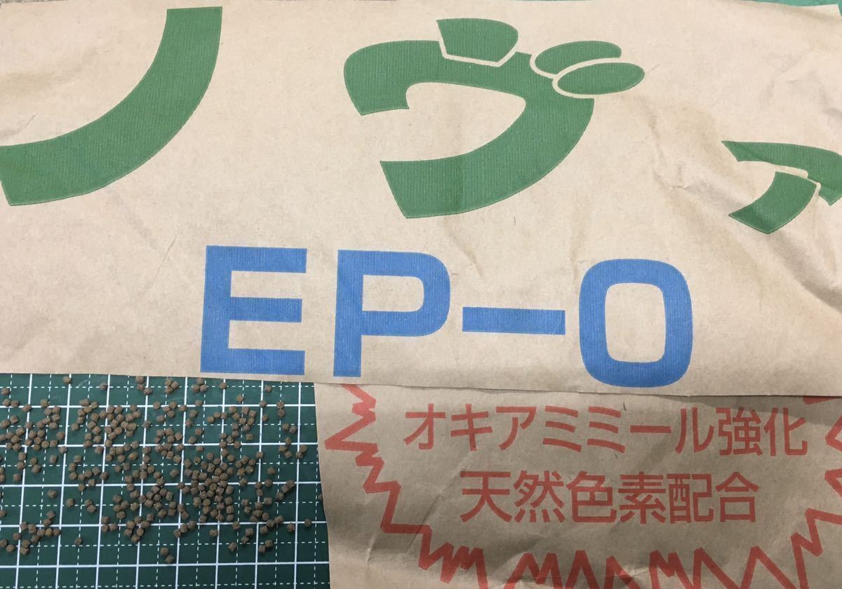 Paypayフリマ ノヴァep 0 900グラム 沈下性1 8 金魚 らんちゅう 錦鯉 川魚 熱帯魚 餌 えさ エサ Paypayフリマ ノヴァep 0 900グラム 沈下性1 8 金魚 らんちゅう 錦鯉 川魚 熱帯魚 餌 えさ エサ