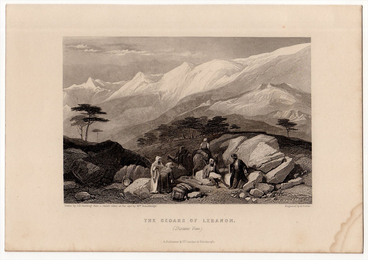 1836年 Harding 聖書の風景画 鋼版画 神のスギの森 The Cedars of Lebanon レバノン 遠望_画像1