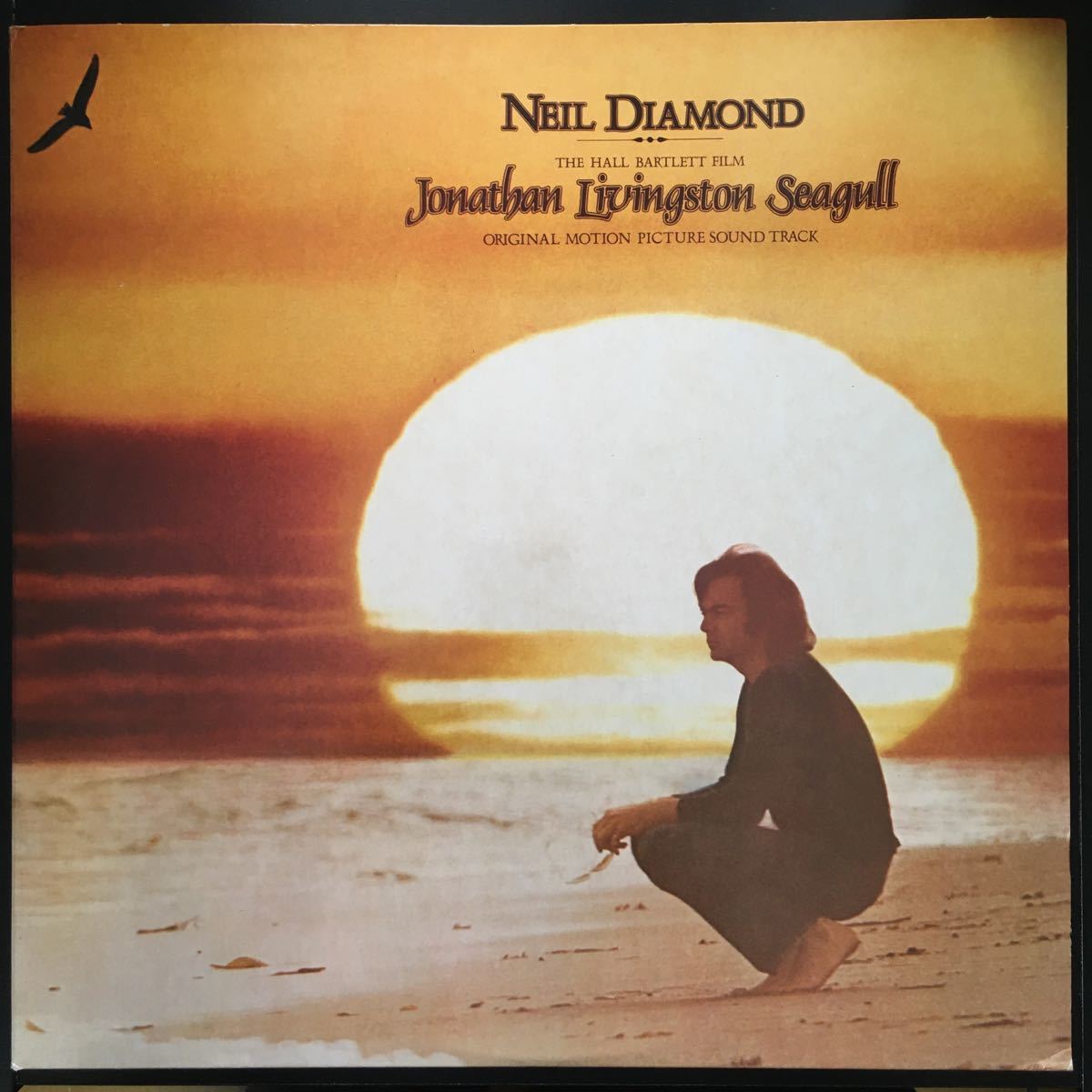 LP NEIL DIAMOND / JONATHAN LIVINGSTON SEAGULL_画像1
