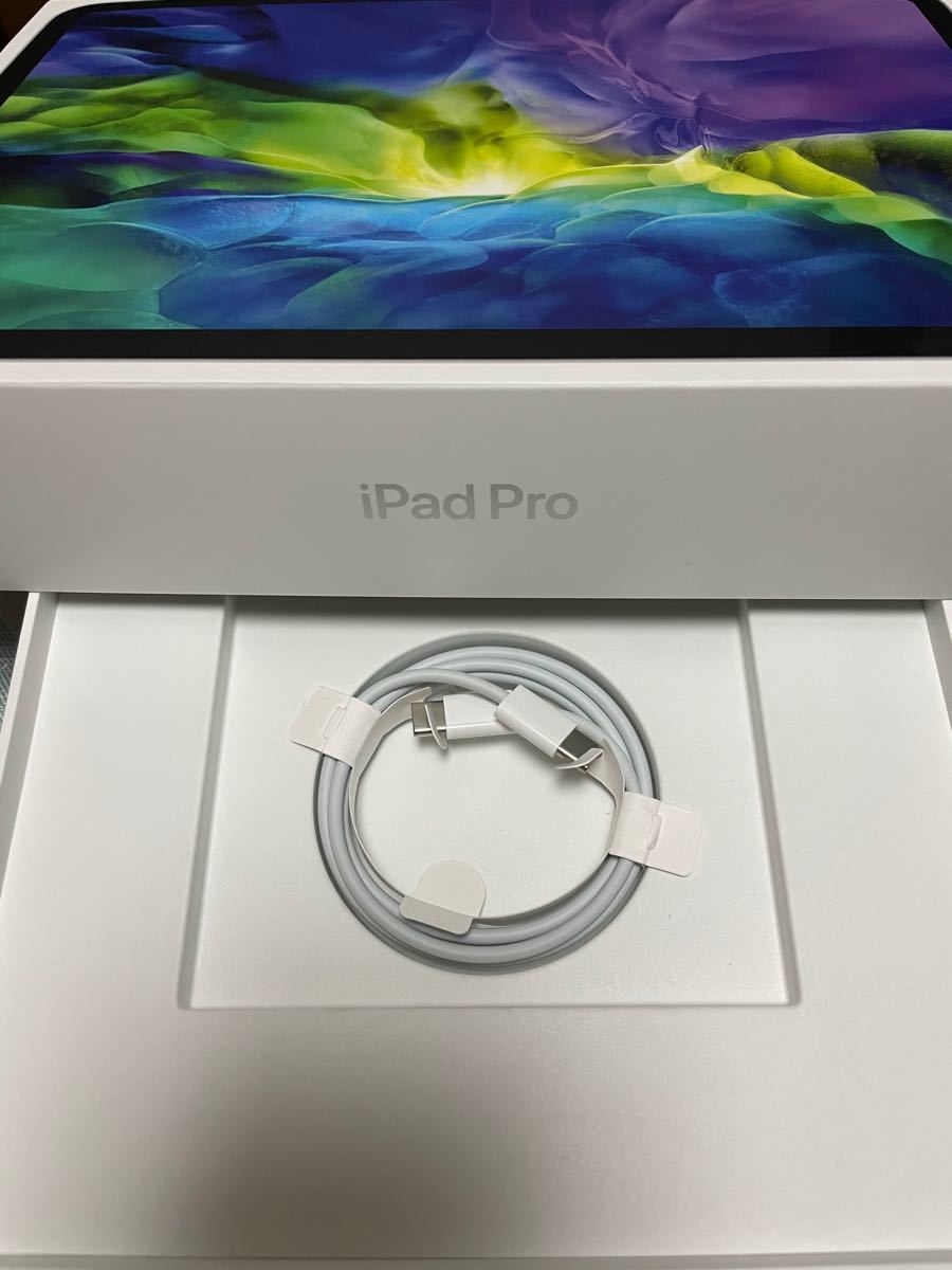 ipad pro 純正付属品 USB C-CLightningケーブル