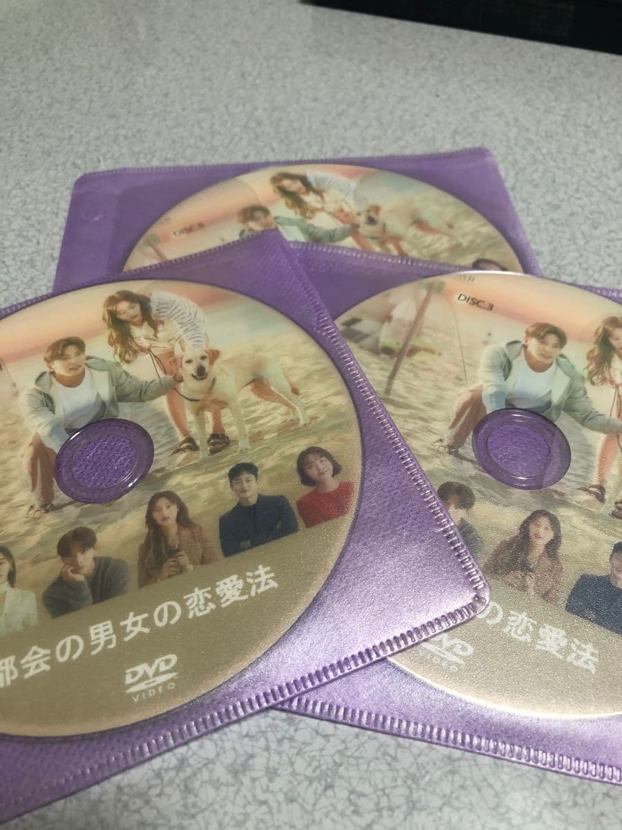 【韓国ドラマ】都会の男女の恋愛法　DVD全話