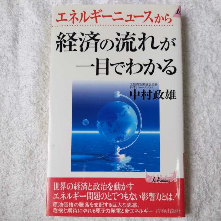 エネルギーニュースから経済の流れが一目でわかる (プレイブックス) 中村 政雄 9784413018203_画像1